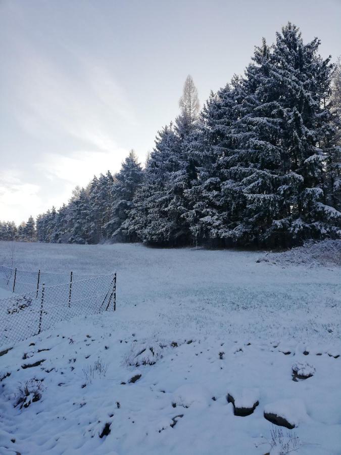 Agroturystyka U Janosika Bozkow エクステリア 写真